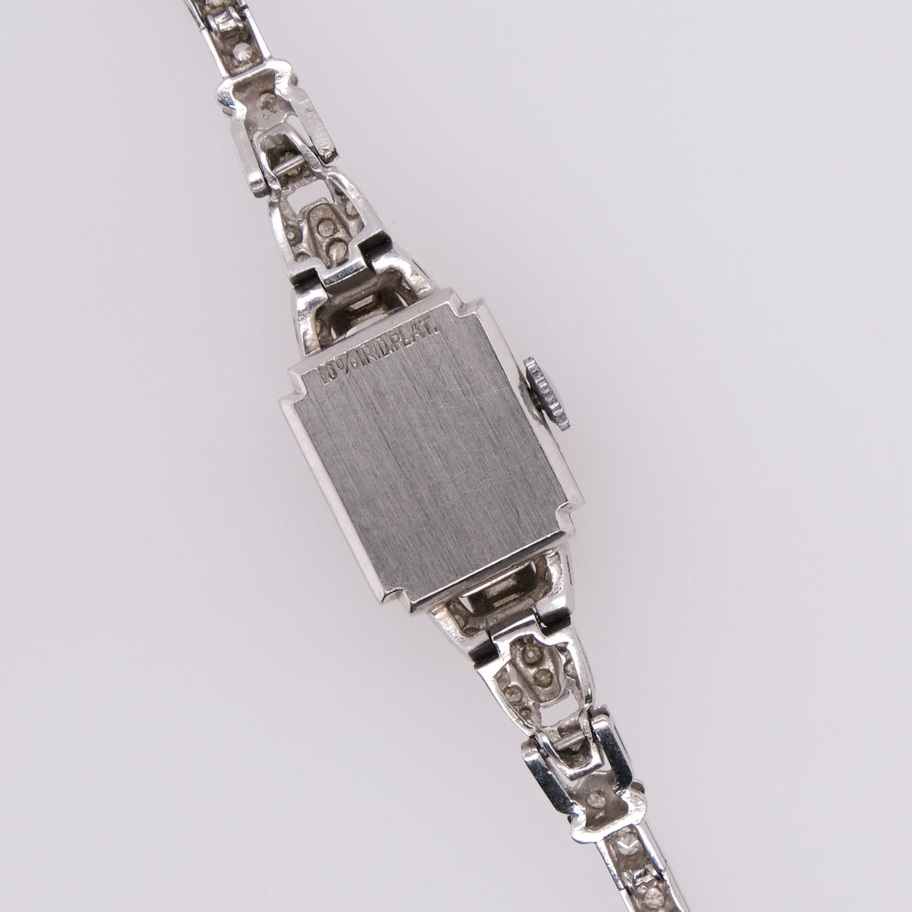 Platinum Geneva 17 Jewels Swiss Watch