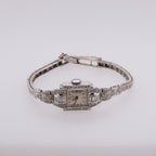 Platinum Geneva 17 Jewels Swiss Watch