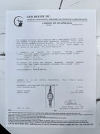 Platinum Geneva 17 Jewels Swiss Watch
